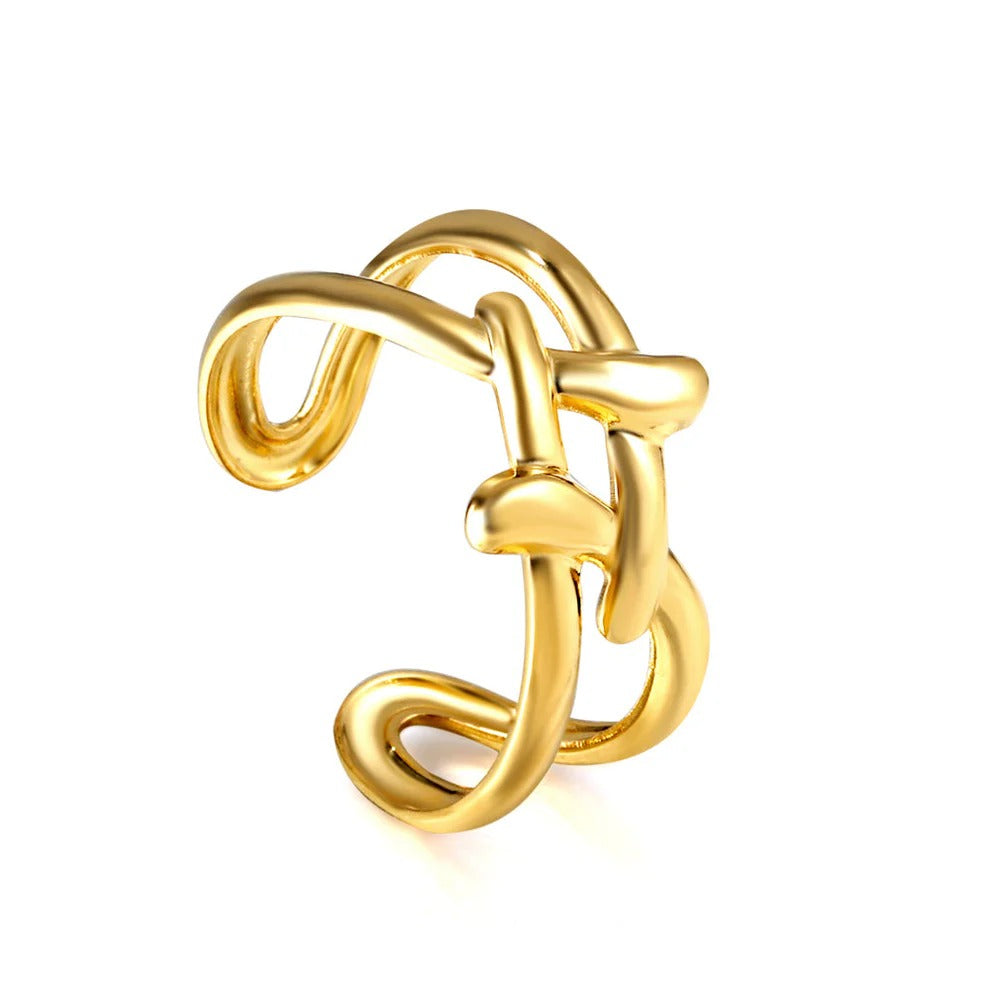 Maison s/steel ring