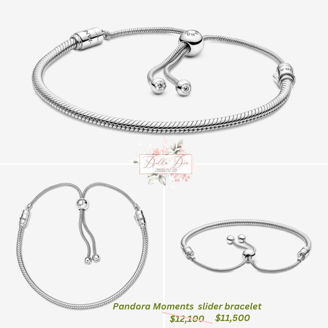 Pandora Moments slider bracelet