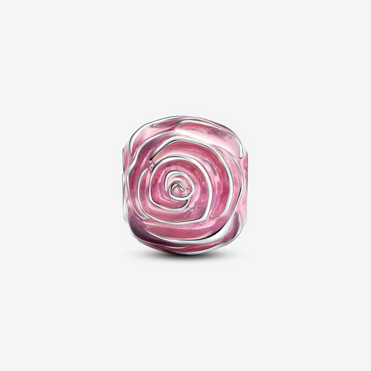 Pandora Pink rose in bloom charm