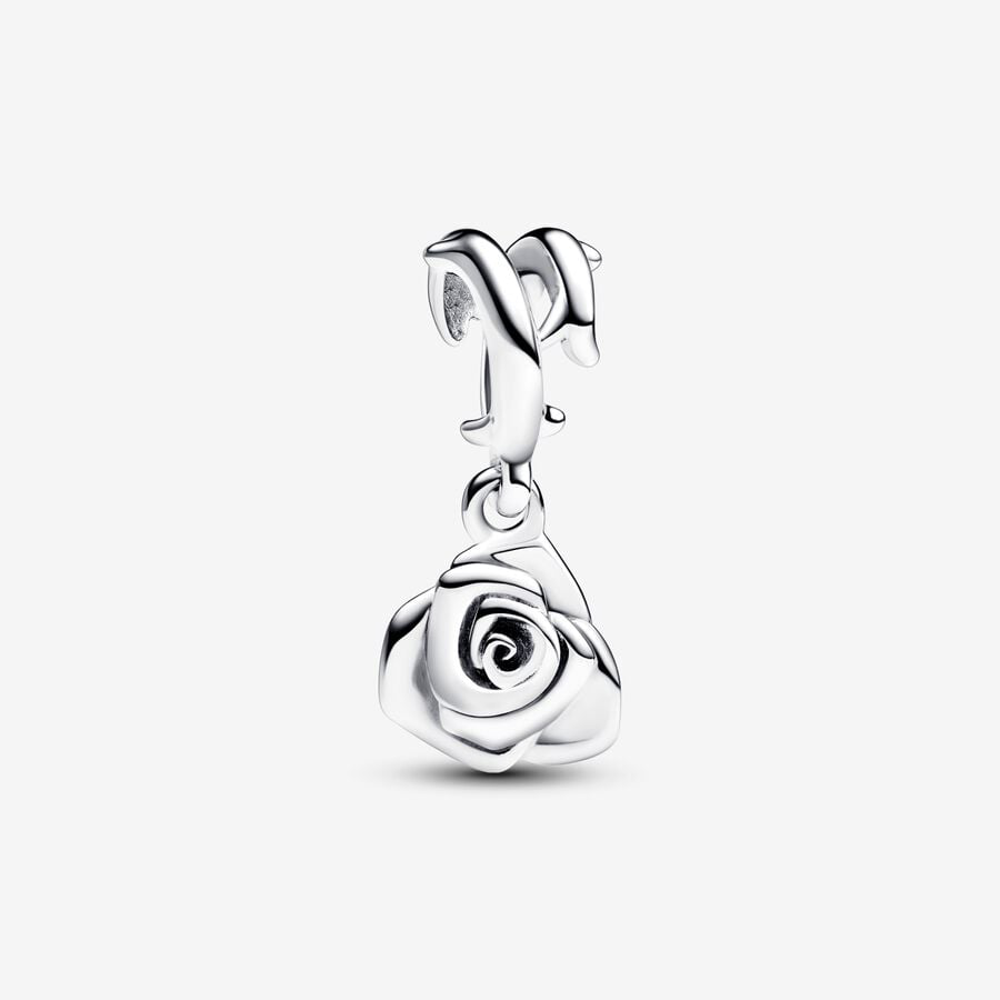 Pandora rose in bloom dangle charm